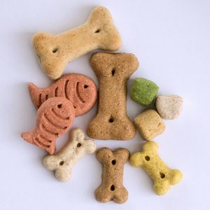 alimentação equilibrada para o seu cão