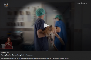 As urgências de um hospital veterinário